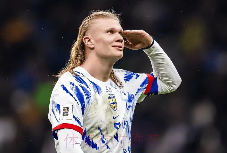 本届世界杯葡萄牙哈兰德赛事预测全面分析